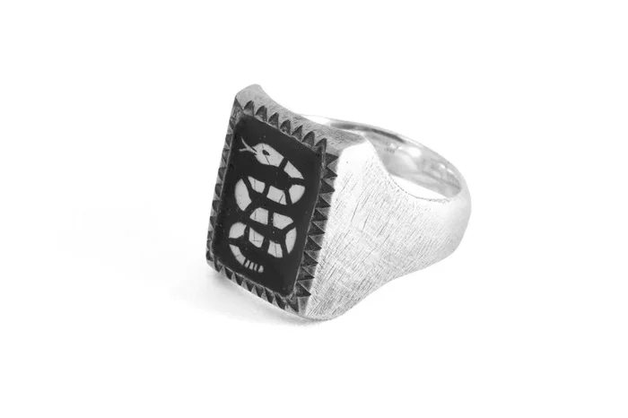 #045 – Signet Ring Snake
