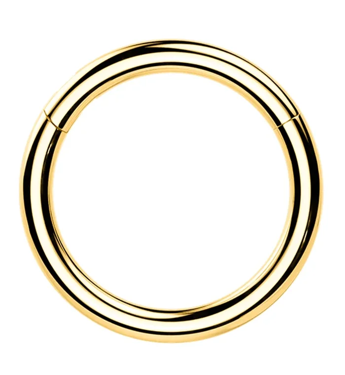 24kt Gold PVD Titanium Hinged Segment Ring