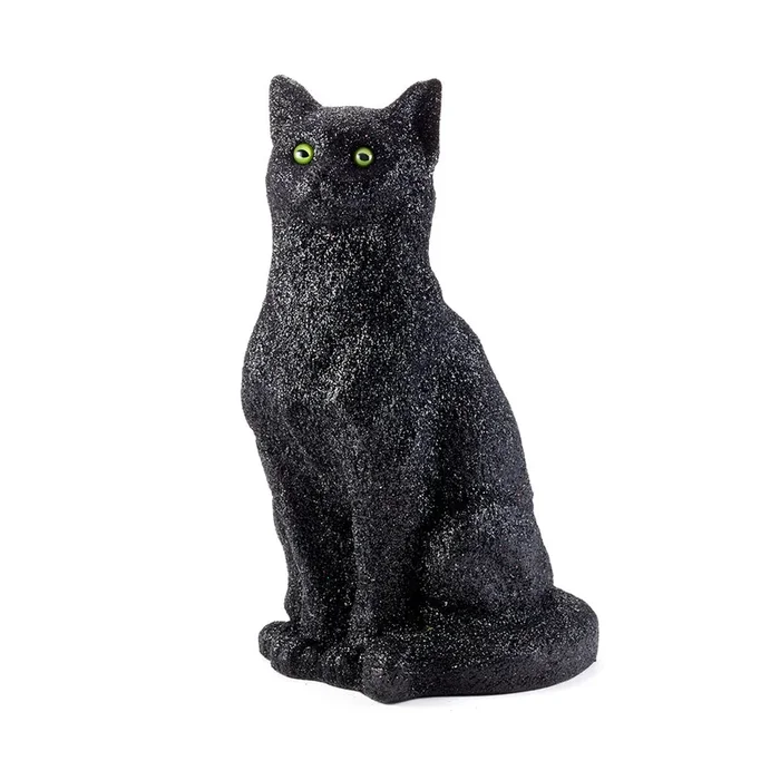 Binx, the Cat
