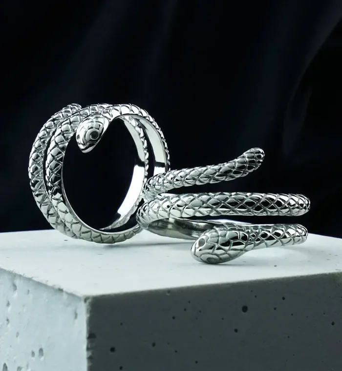 Cloaked Snake Stainless Steel Ring