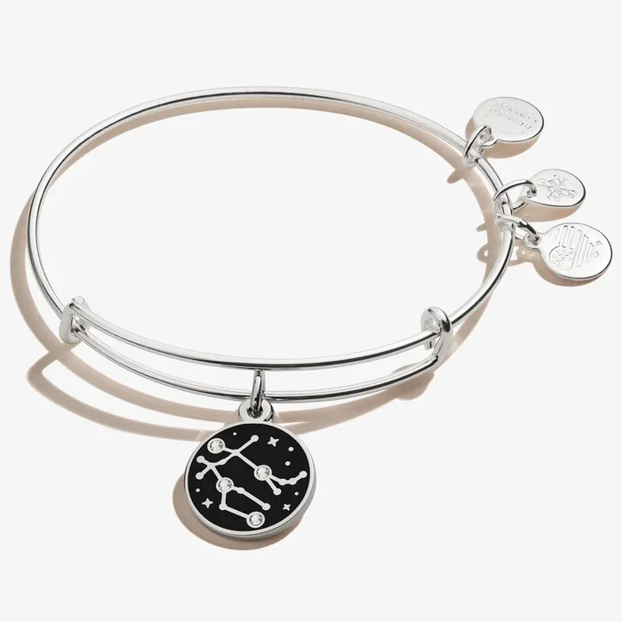 Gemini Zodiac Charm Bangle