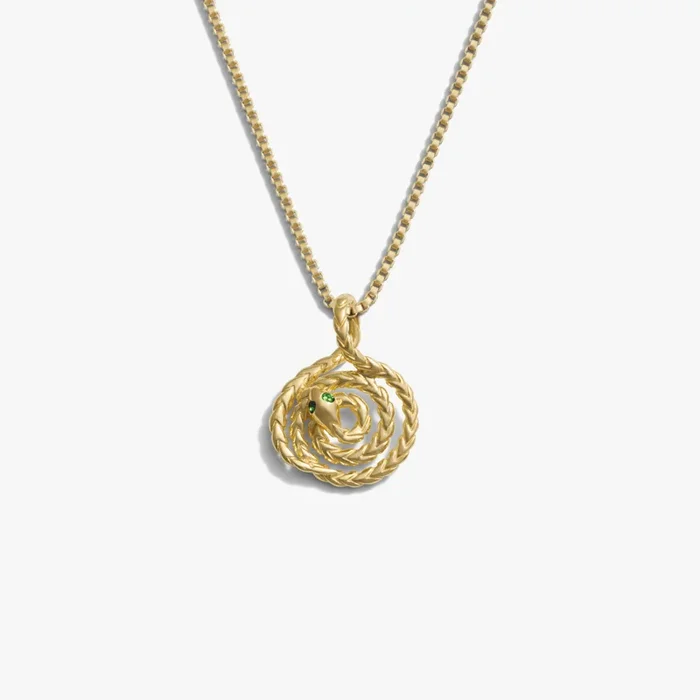 Mini Spiral Snake Necklace
