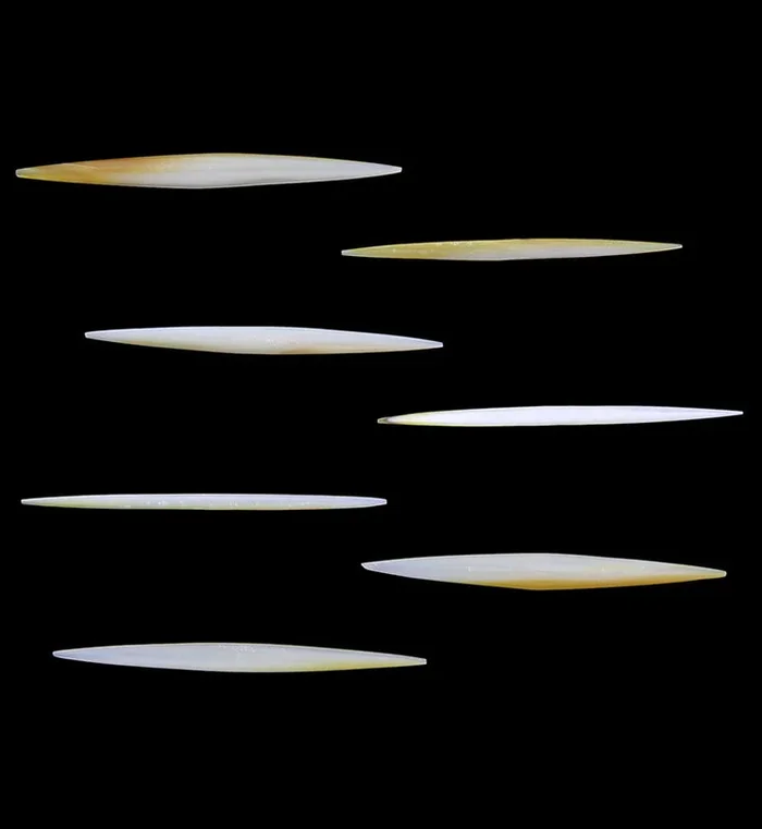 Mother of Pearl Septum Spike