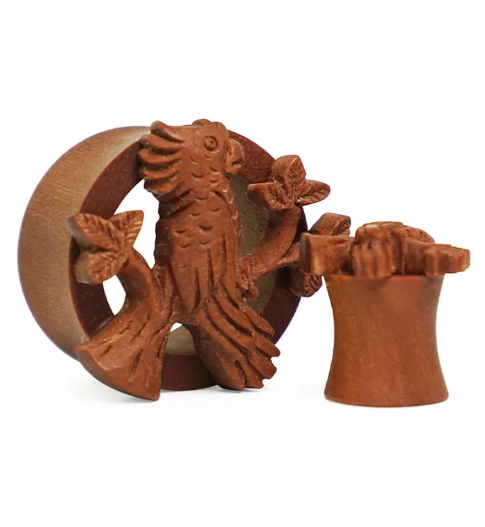 Parrot Carved Saba Wood Tunnels