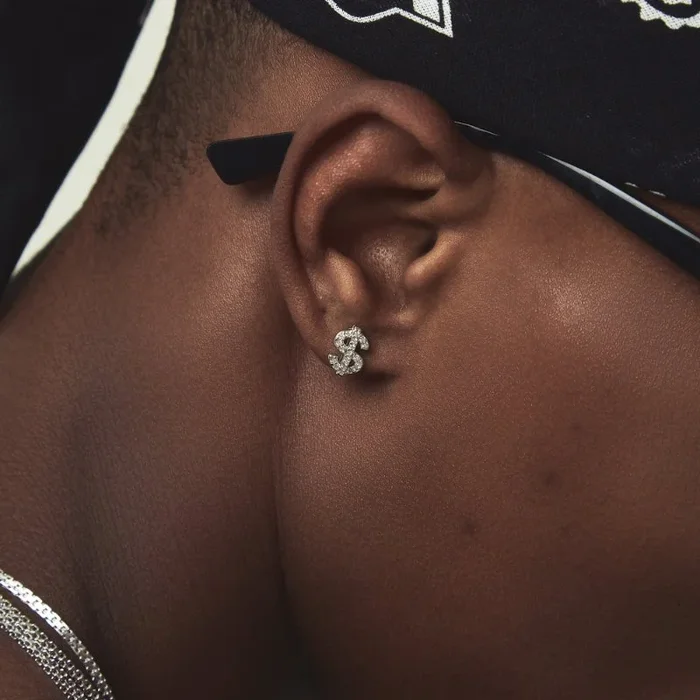 S925 Sterling Silver Dollar Sign Earrings