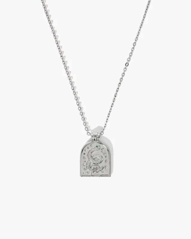 Snake Necklace in Silver