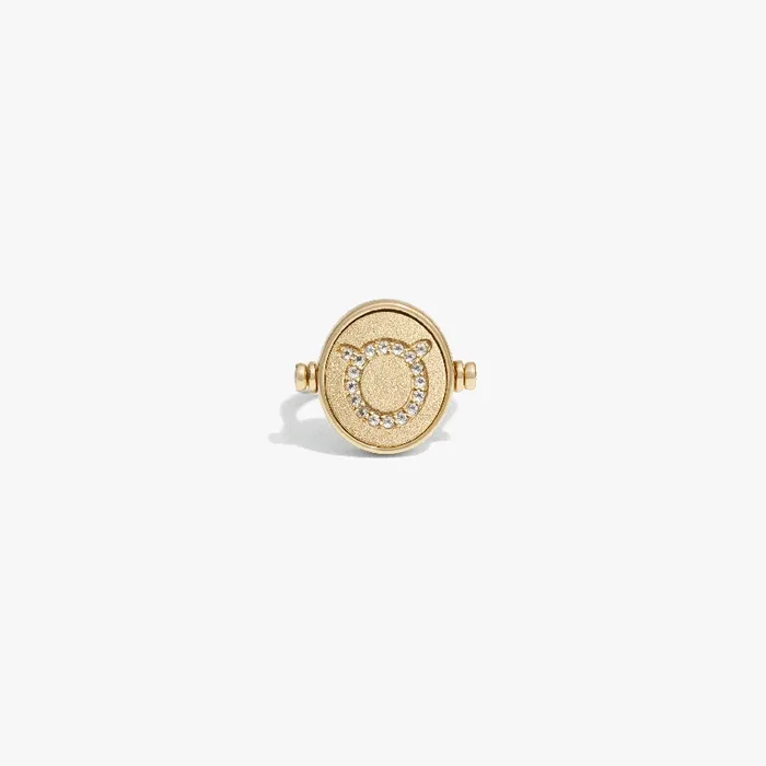 Taurus & Earth Flip Ring