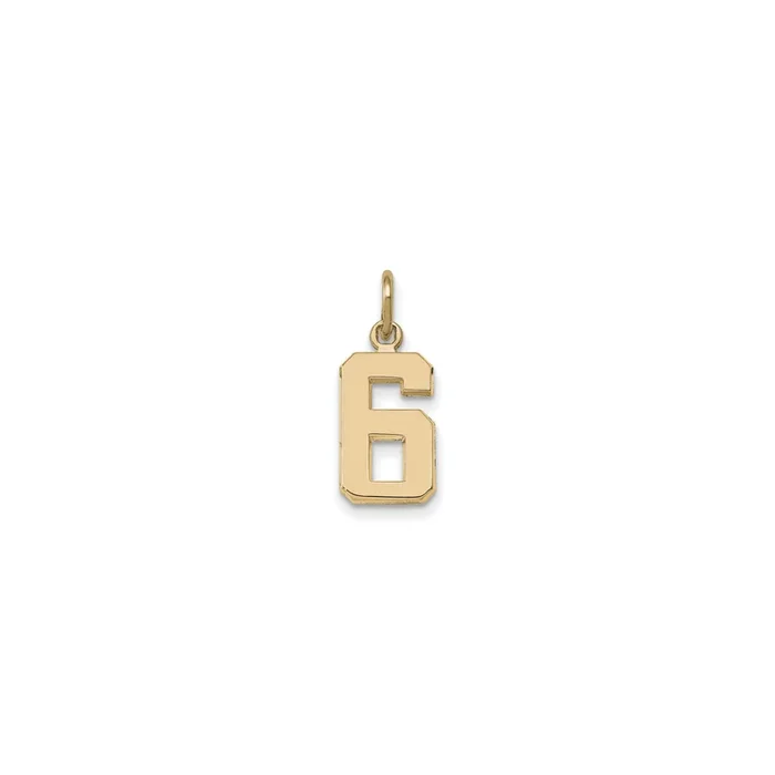 Varsity Number 6 Pendant (14K)